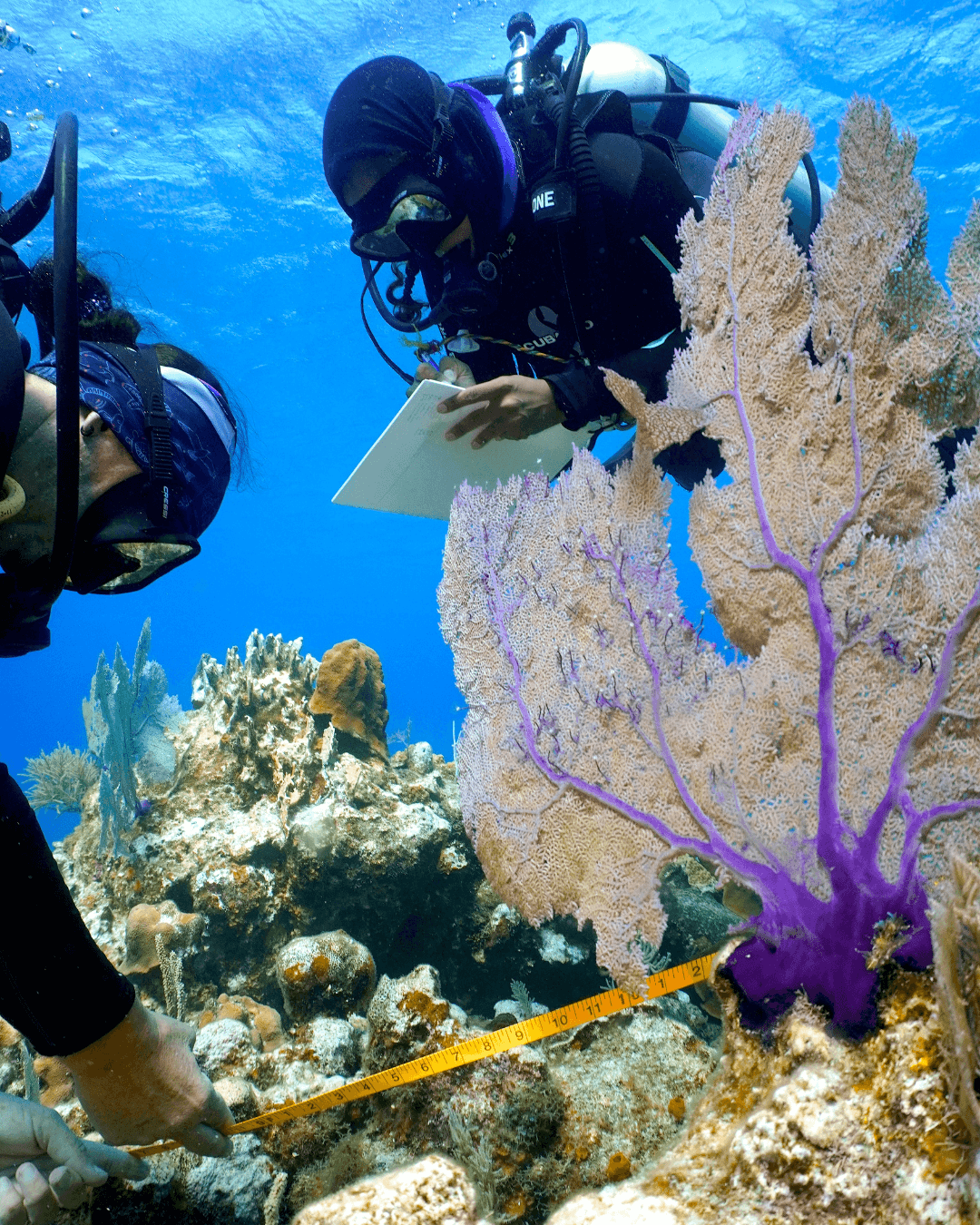 scuba_diver_6