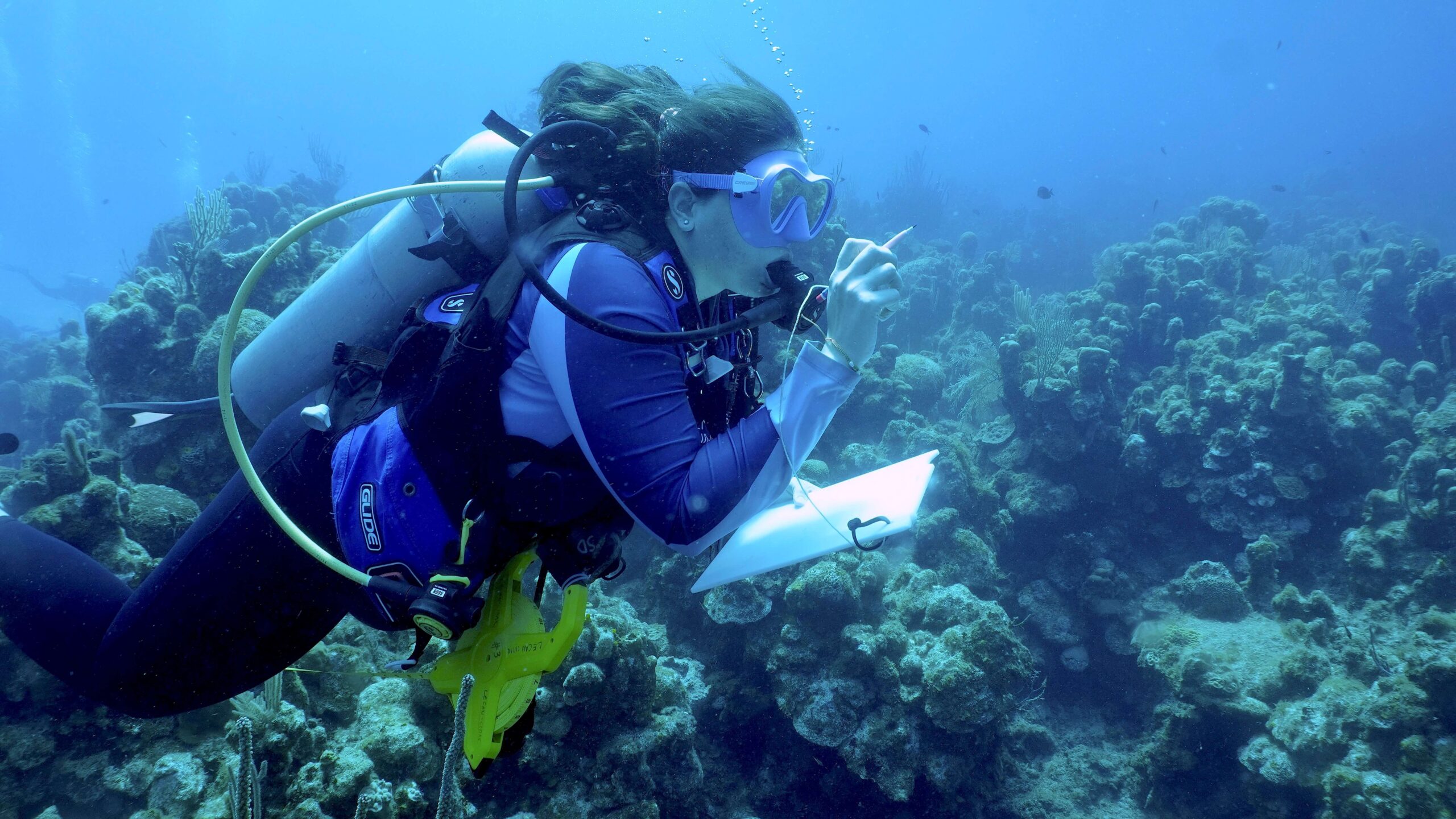 scuba_diver_one scuba diver in coral reef with underwater tablet