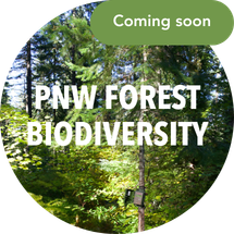 Adventure Scientists Pacific Northwest Forest Biodiversity Project is Coming Soon! Sign up for Email Updates for Project Updates and Volunteering Opportunities