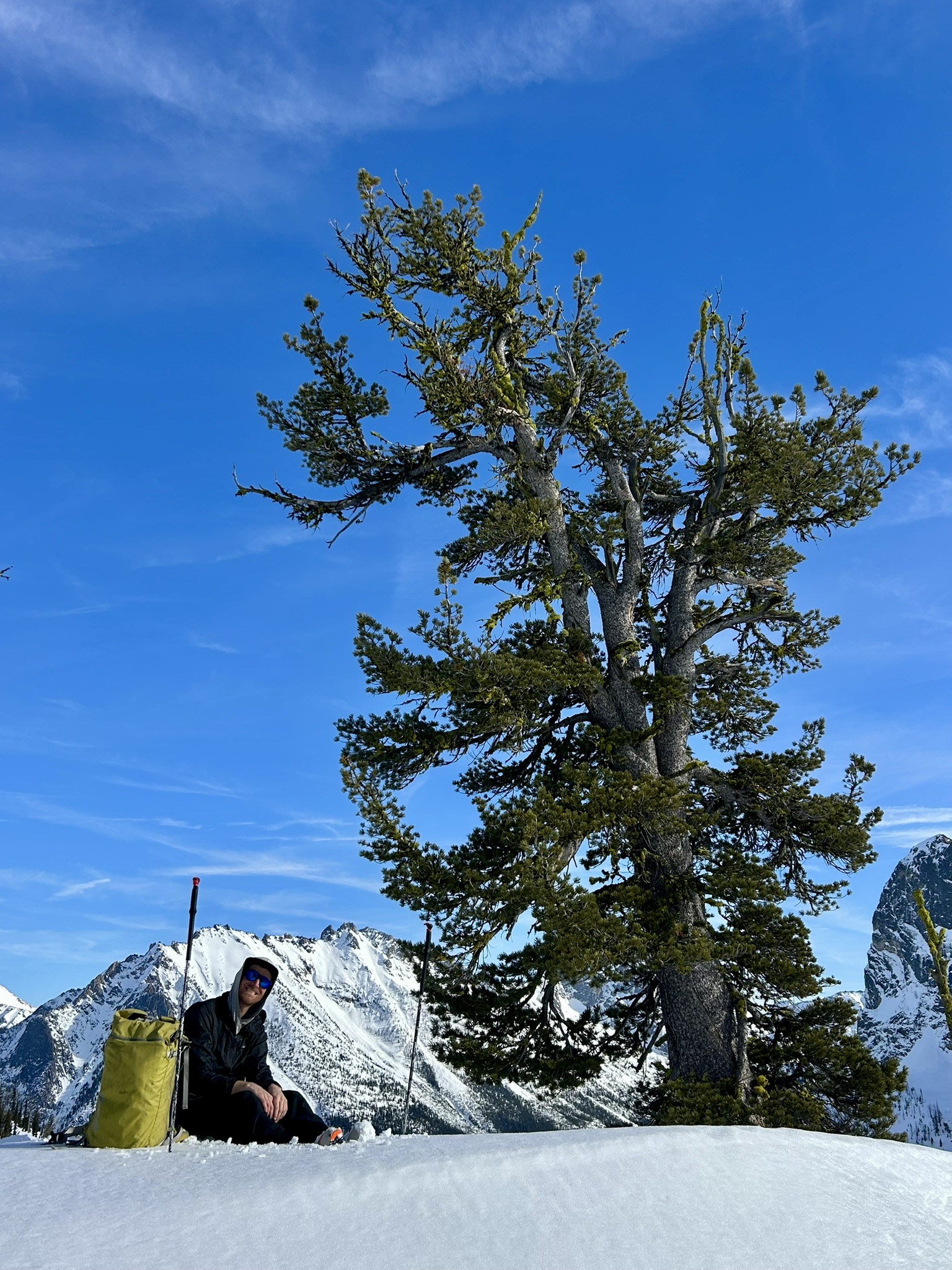 Adventure Scientists volunteer adventures to great heights to capture life-changing data and stories for conservation.