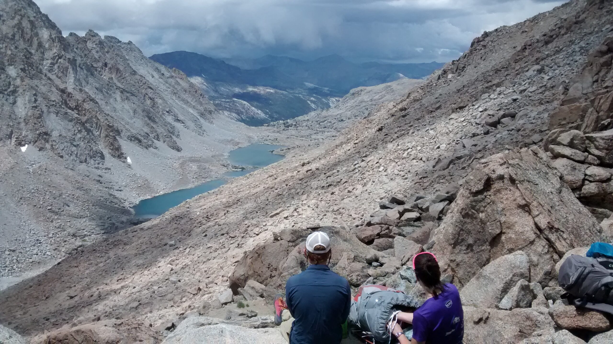 Volunteers hiking through the Pacific Northwest forest and alpine terrains collecting biodiversity data for conservation science.