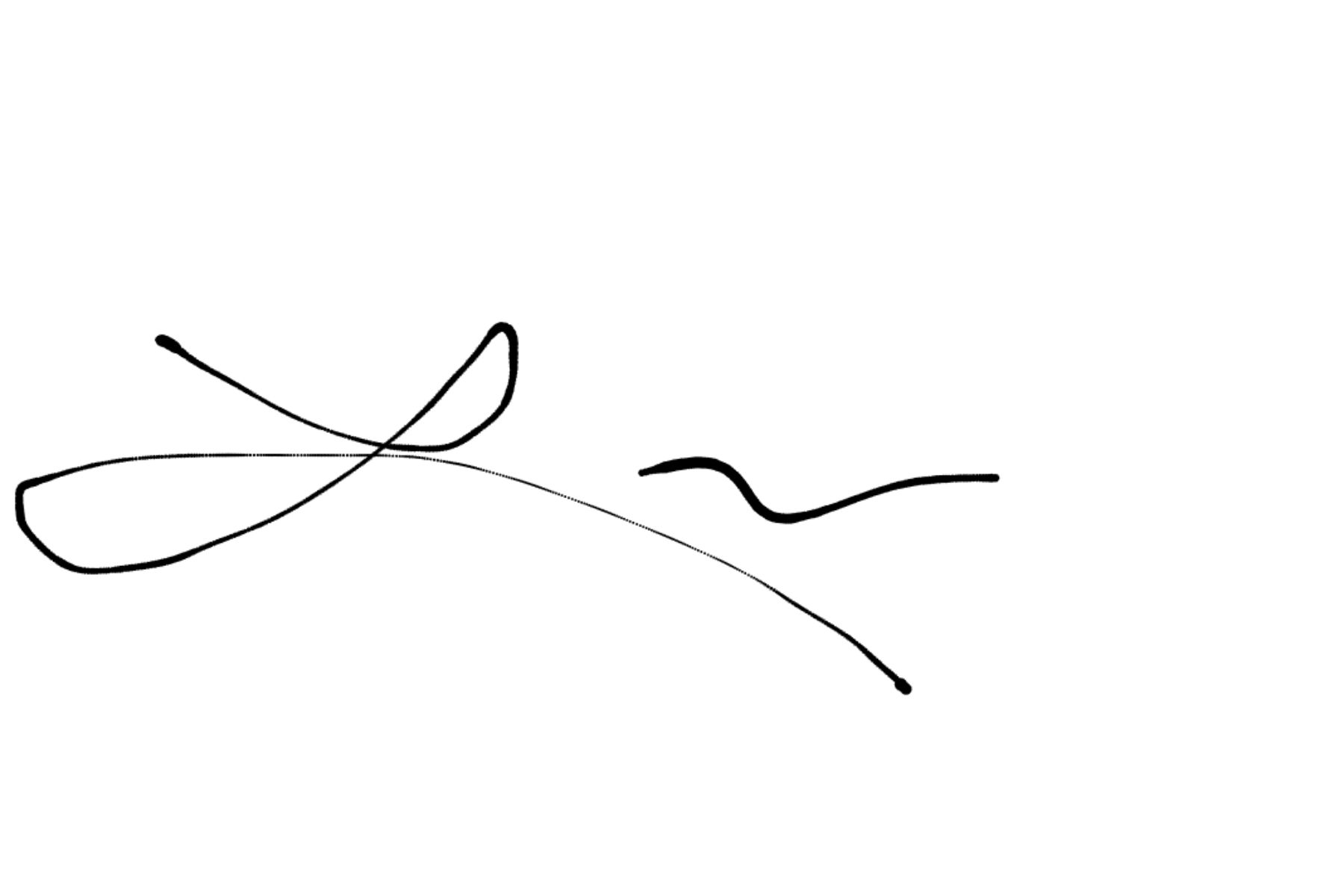 Lara Birkes signature, signing off her letter to you