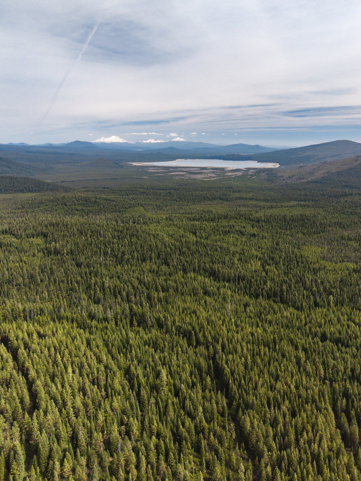 PNW Biodiversity project - view from a volunteer while out in the field placing ARUs