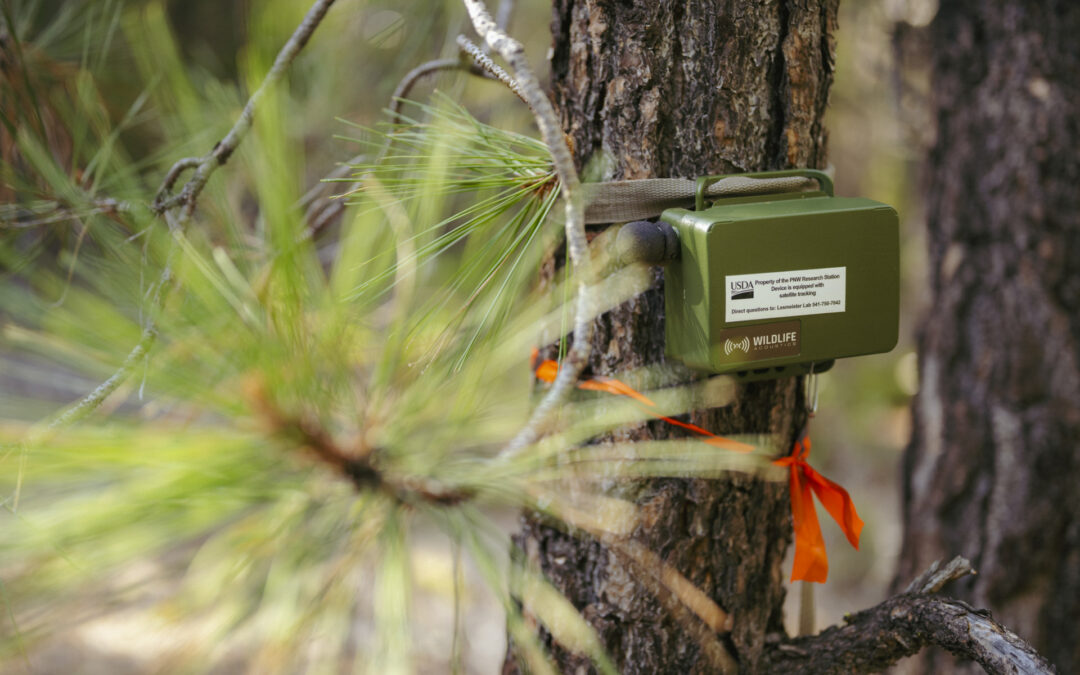 Why the US Forest Service Turns To Adventure Scientists for Trusted Field Data at Scale