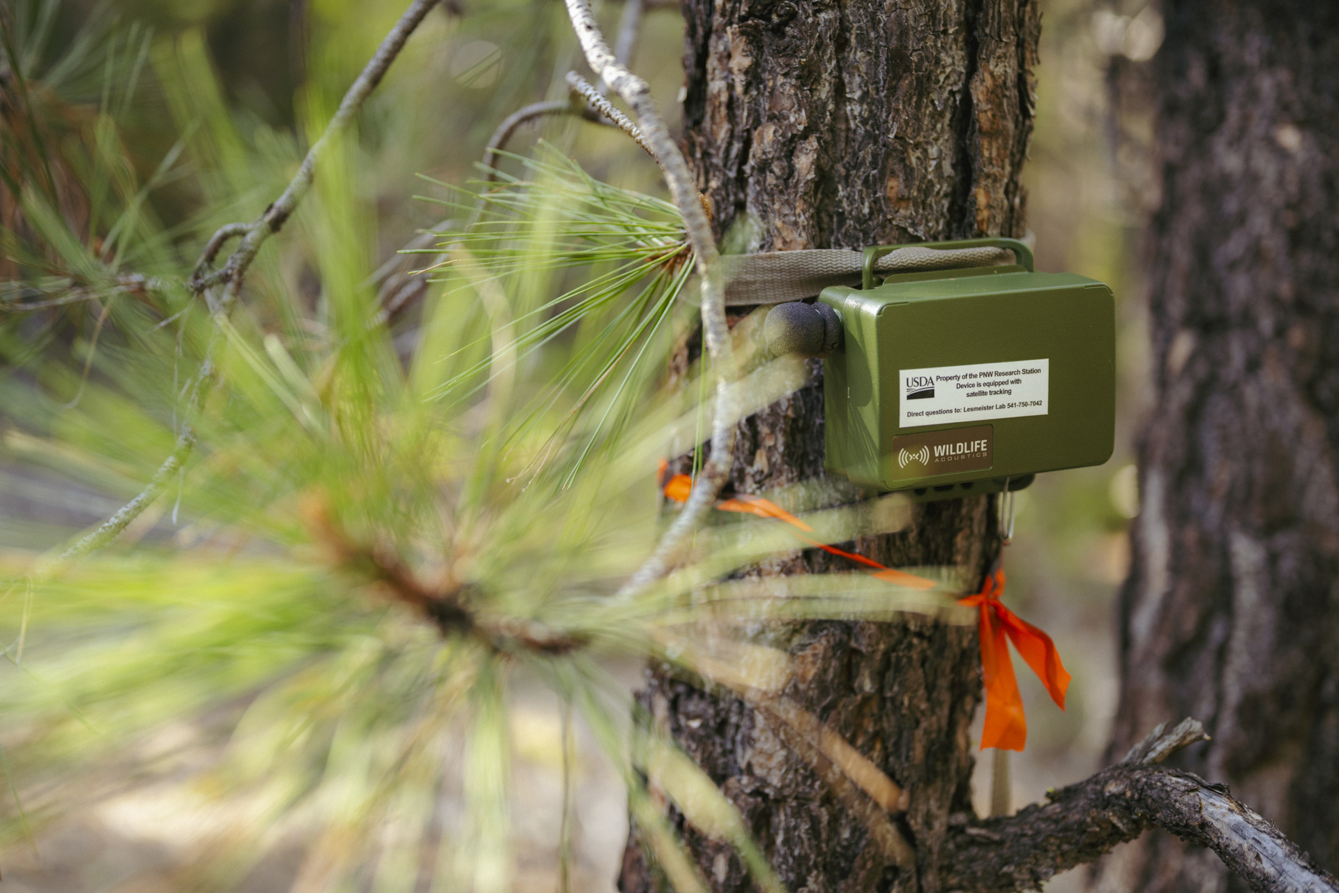 Using a citizen science data collection model, Adventure Scientists volunteer-powered science places ARUs in the field for endangered species monitoring
