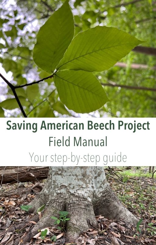 Beech field manual (digital) American beech field protocol manual