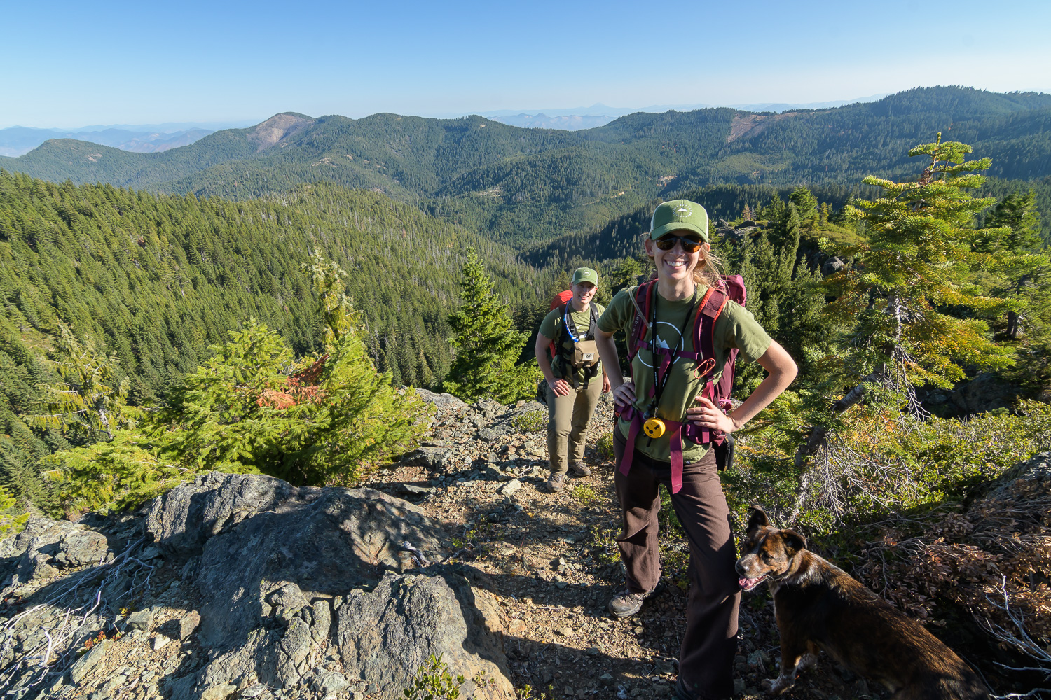 Volunteer while Hiking in the Oregon and Washington for whitebark pine trees
