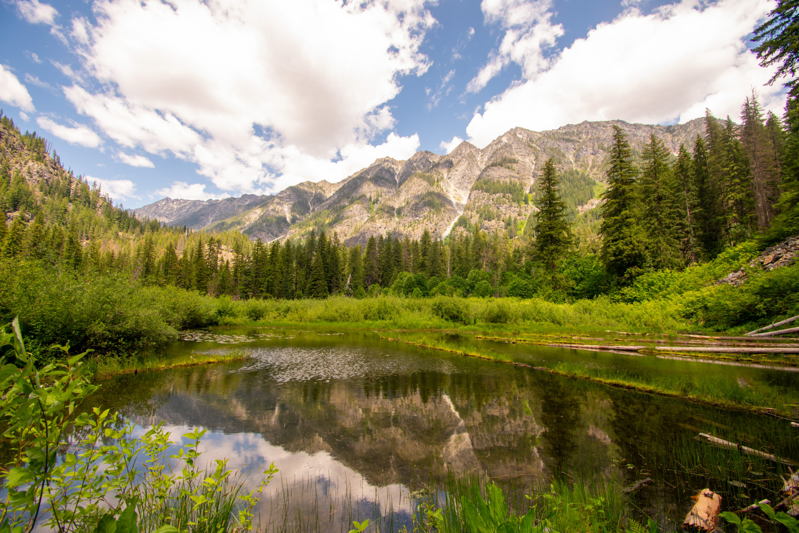 Backcountry travel for conservation field work is hard to get to, but worth the incredible mountain, lake, and old growth forest views