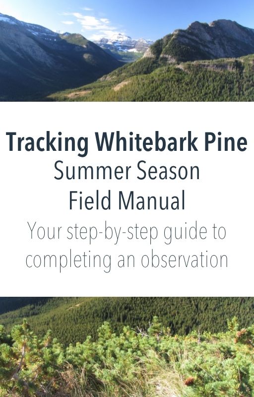 Tracking whitebark pine summer season field manual