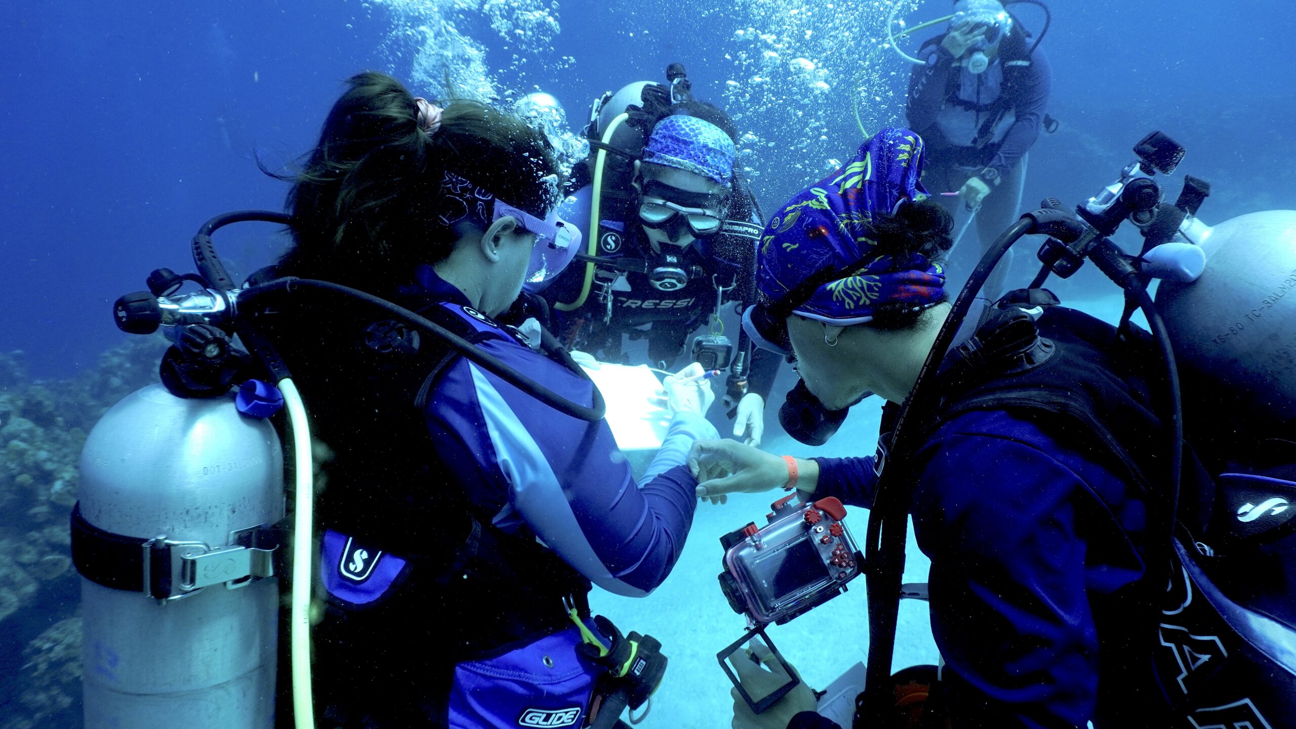 _DSC2046 (1) Adventure Scientists trains local community members, divers, and marine conservation supporters to support coral monitoring and reef conservation