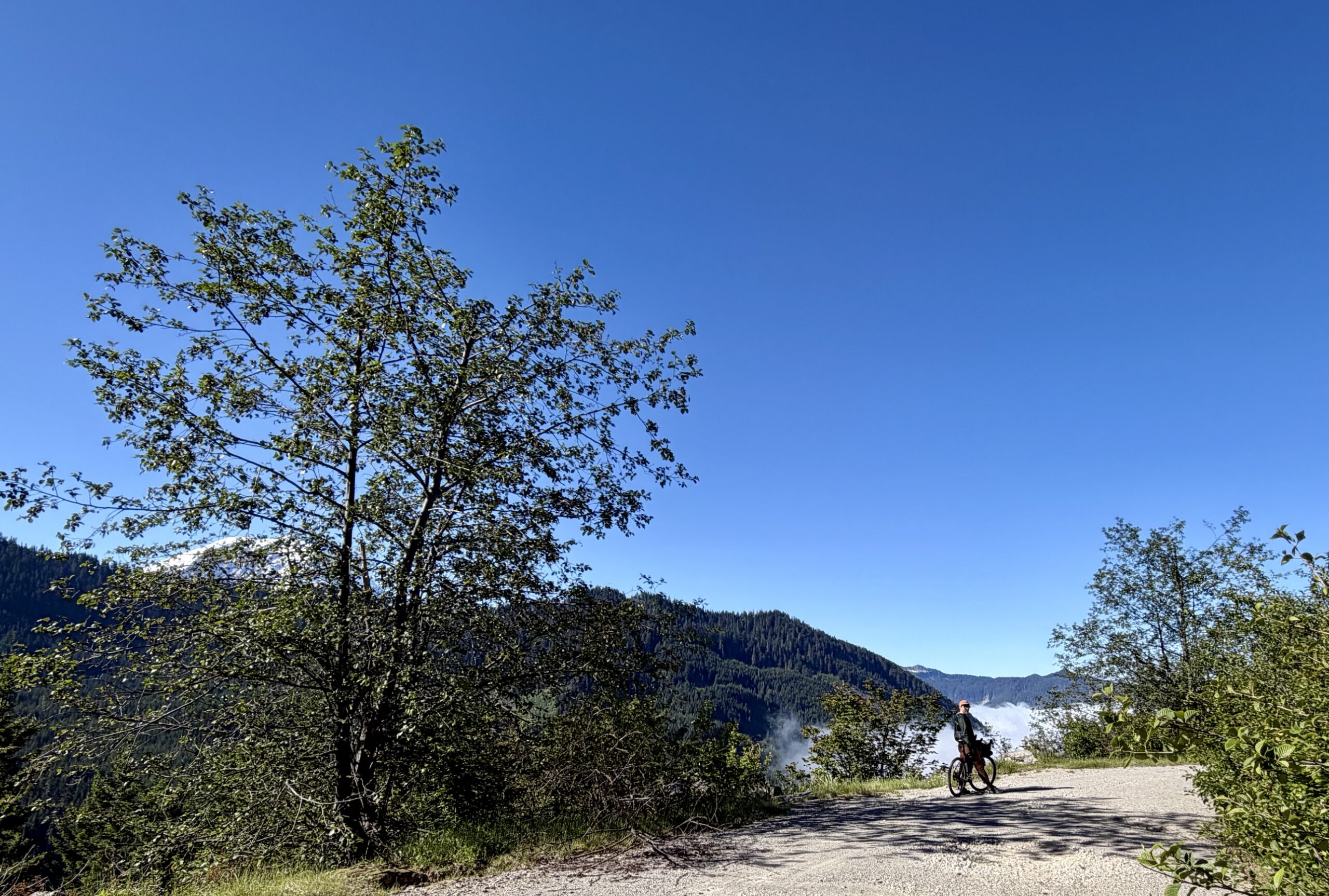 Bikepacking across remote PNW forests to collect biodiversity data
