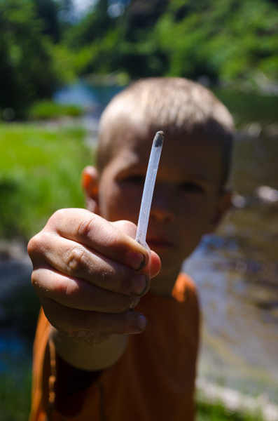 Henry Soltys in the field collecting conservation data for community science