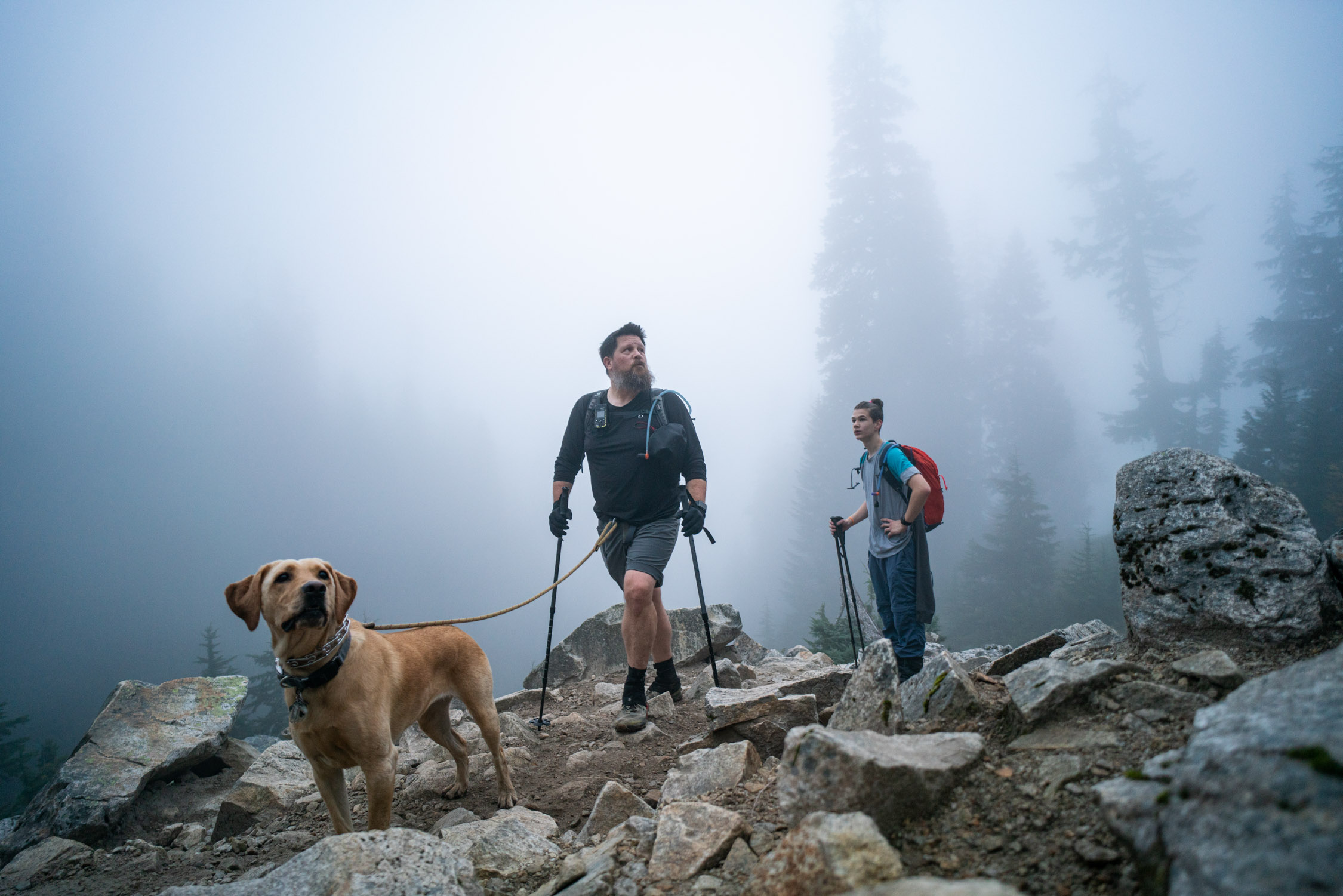 John Soltys and his family hike for community science with Adventure Scientists