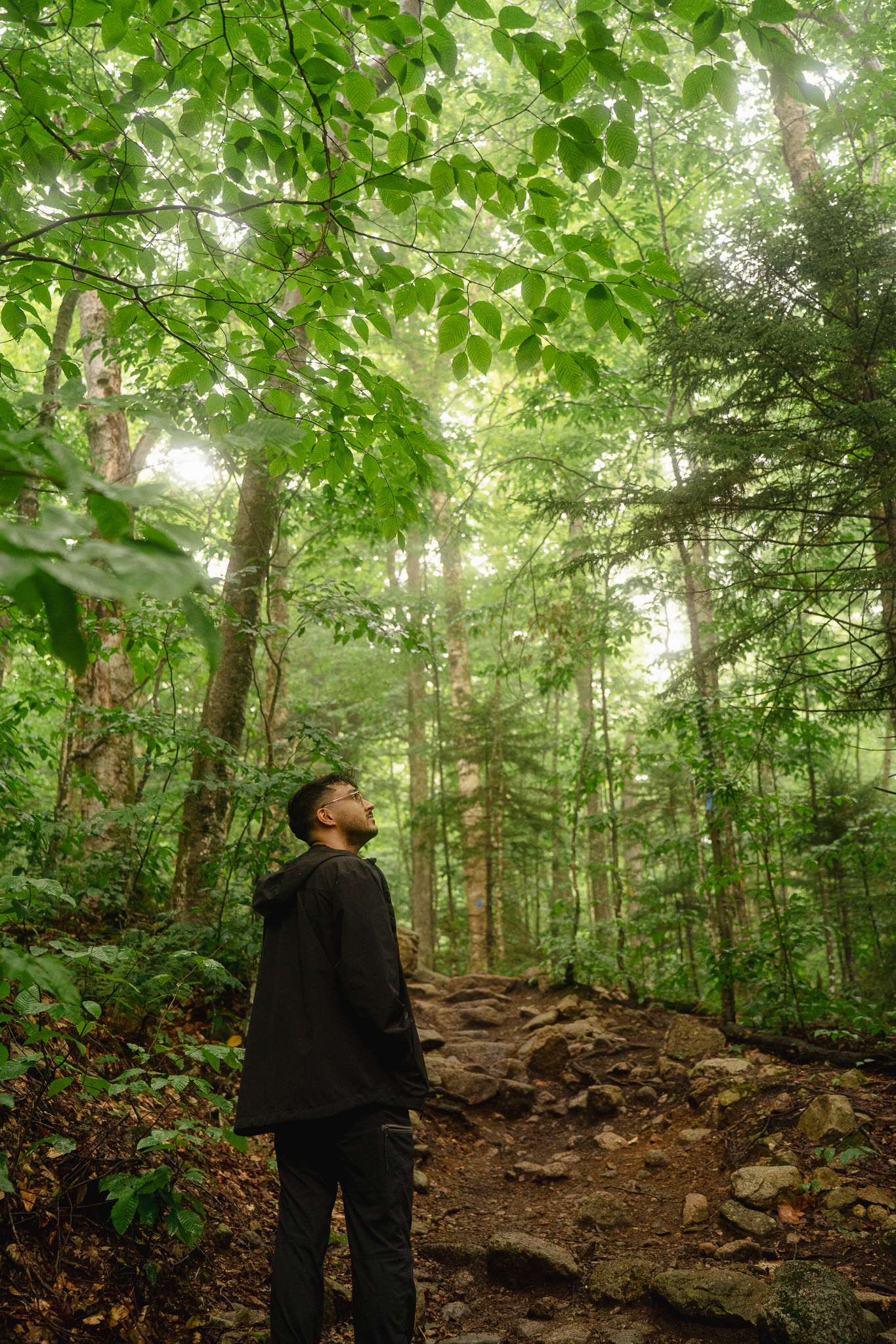Volunteer searching for butternut trees in the White Mountains, New hampshire