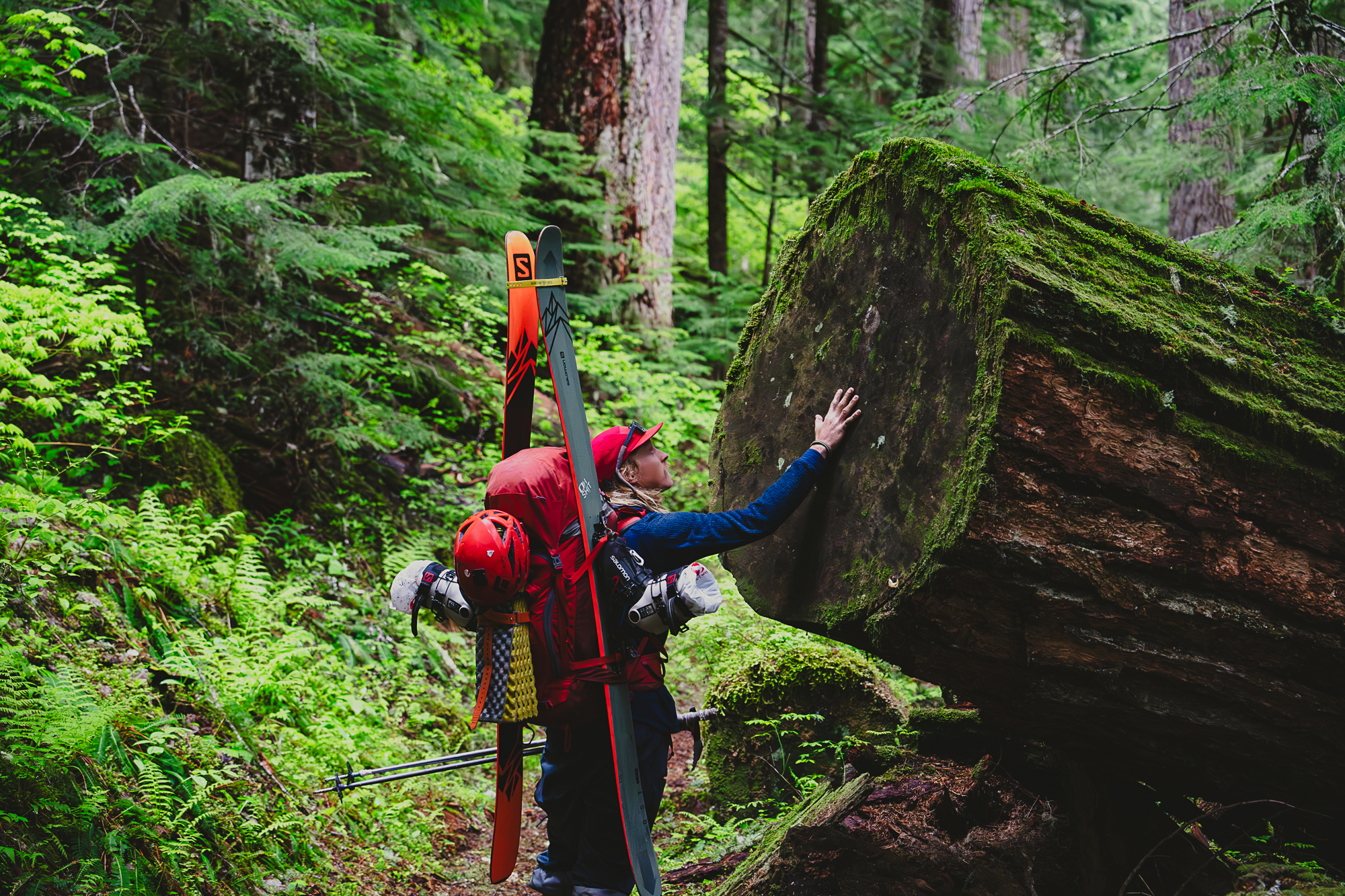 Volunteer, Matt, in old-growth forests