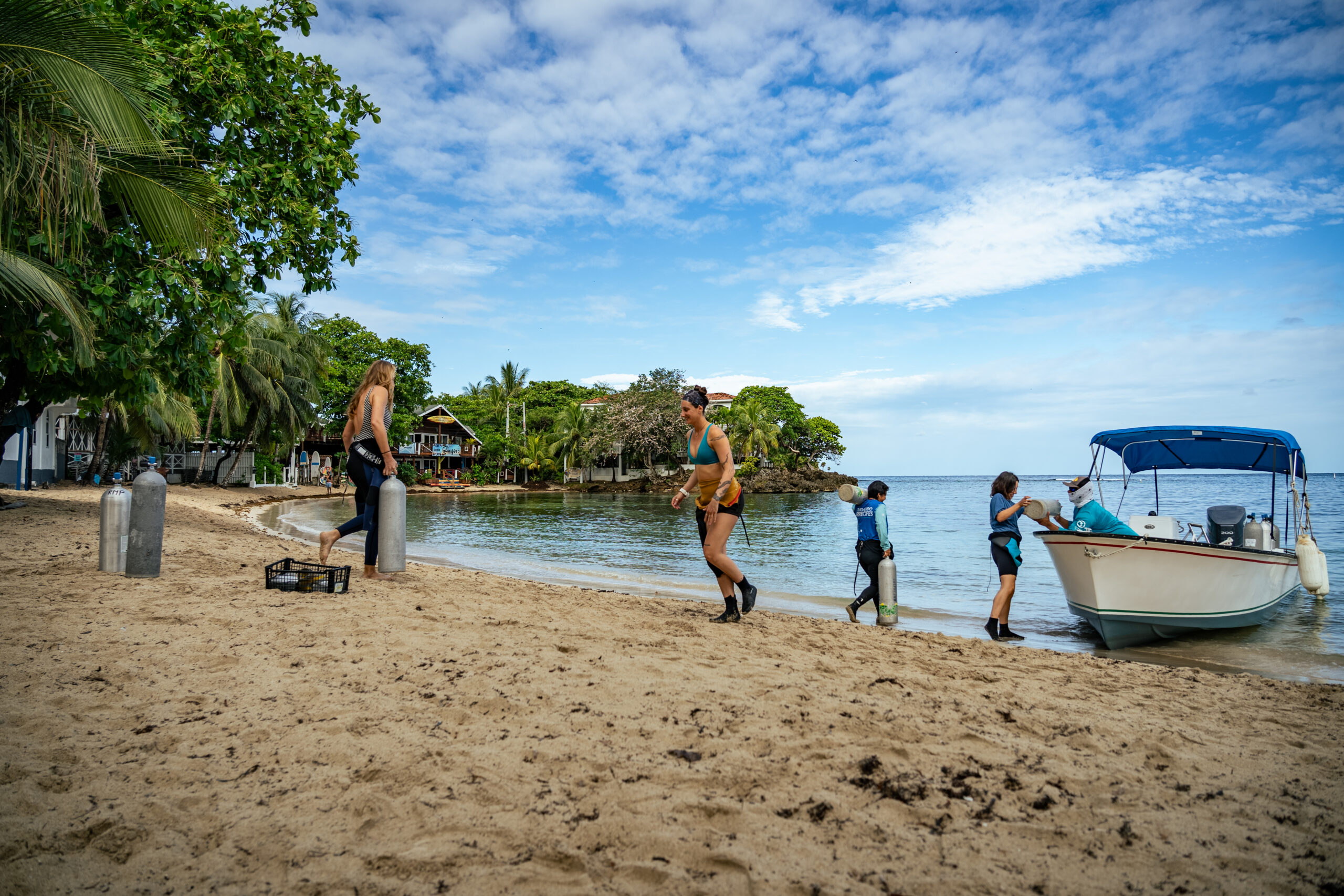 Women in marine conservation leading the work in honduras for coral reef monitoring and restoration information