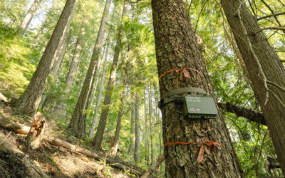 5 Things a PNW Volunteer Wishes He’d Known Before Backcountry Trekking