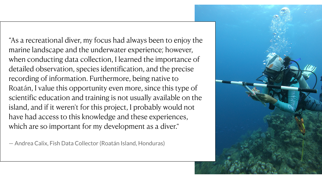 Andreas quote: x“As a recreational diver, my focus had always been to enjoy the marine landscape and the underwater experience; however, when conducting data collection, I learned the importance of detailed observation, species identification, and the precise recording of information. Furthermore, being native to Roatán, I value this opportunity even more, since this type of scientific education and training is not usually available on the island, and if it weren't for this project, I probably would not have had access to this knowledge and these experiences.” - Andrea Calix