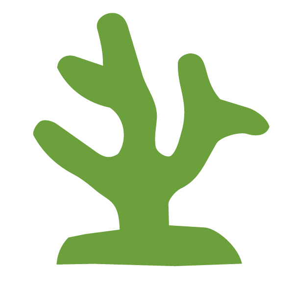 coral icon - green