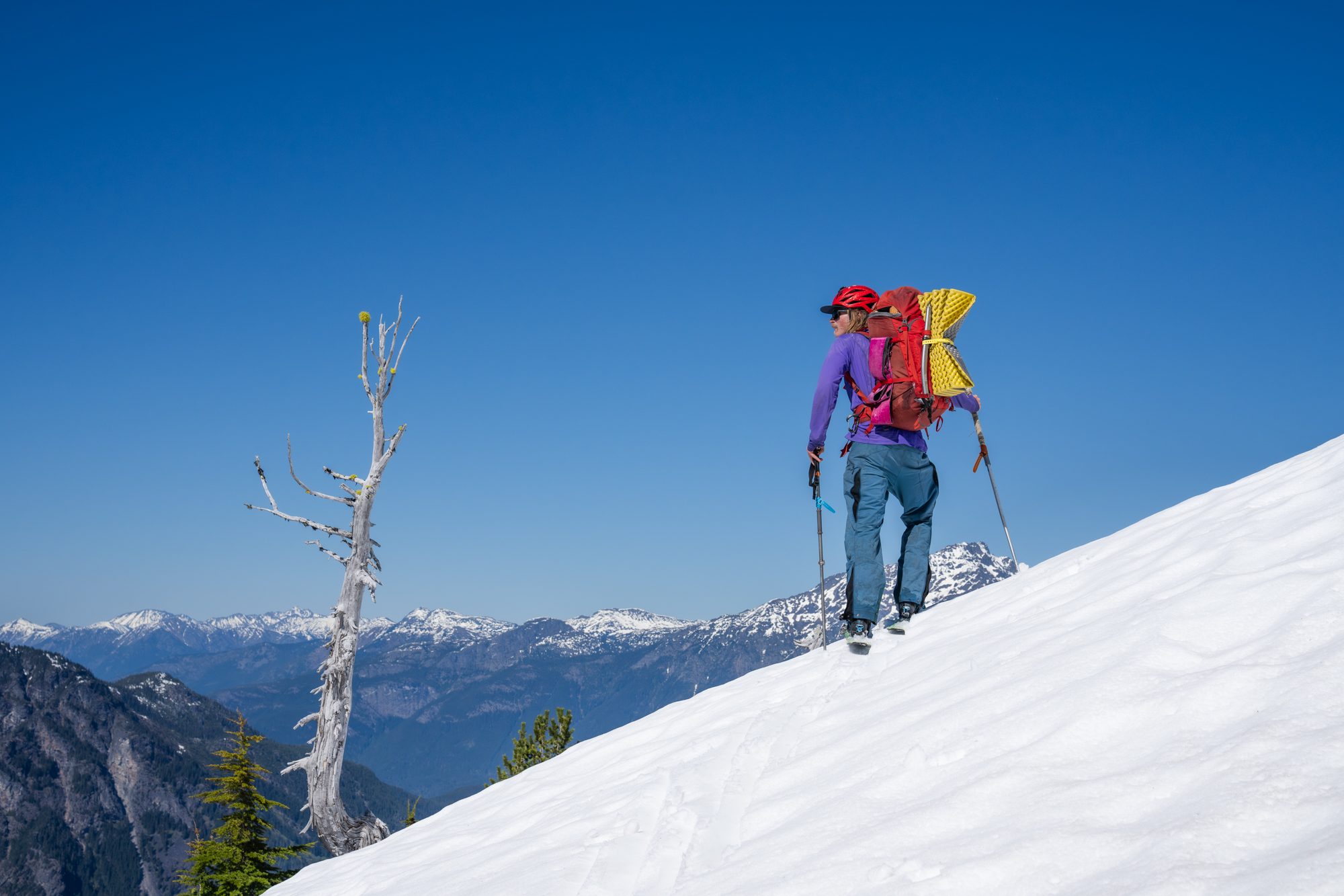 A volunteer hiking off-trail through high-elevation terrain to reach a whitebark pine survey site