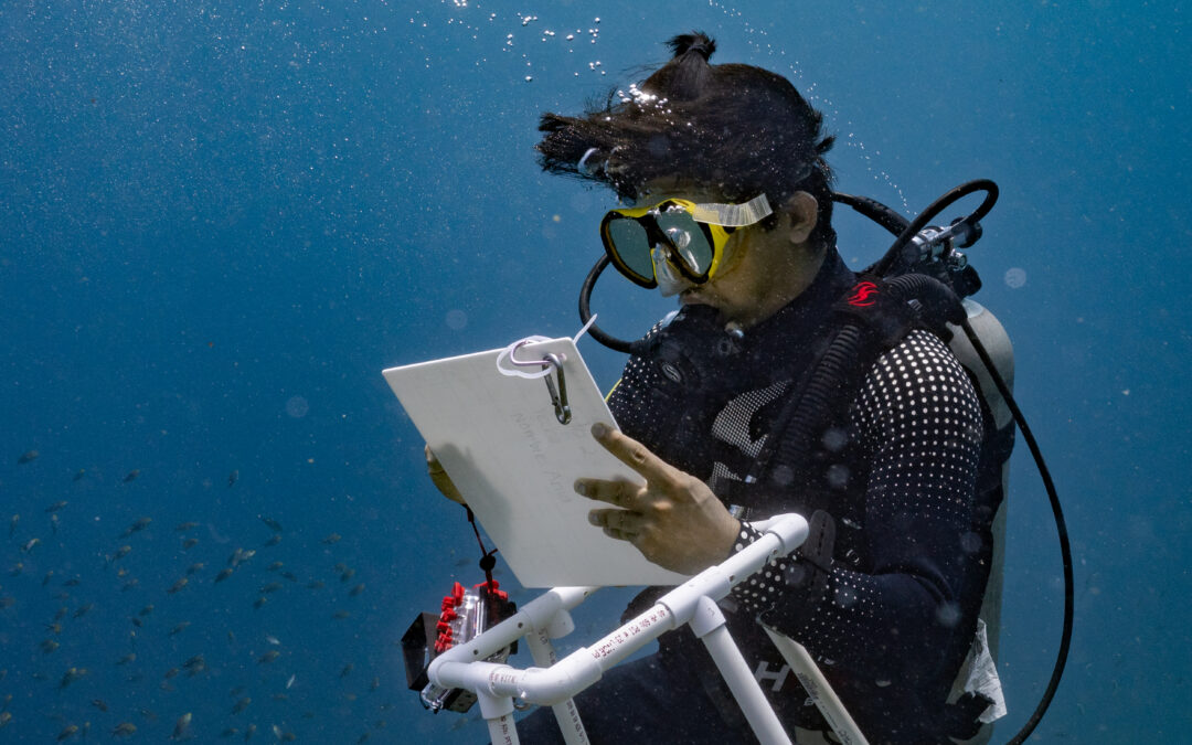 Where Our Coral Reef Network Began: A New Film from Mexico’s Pacific Coast