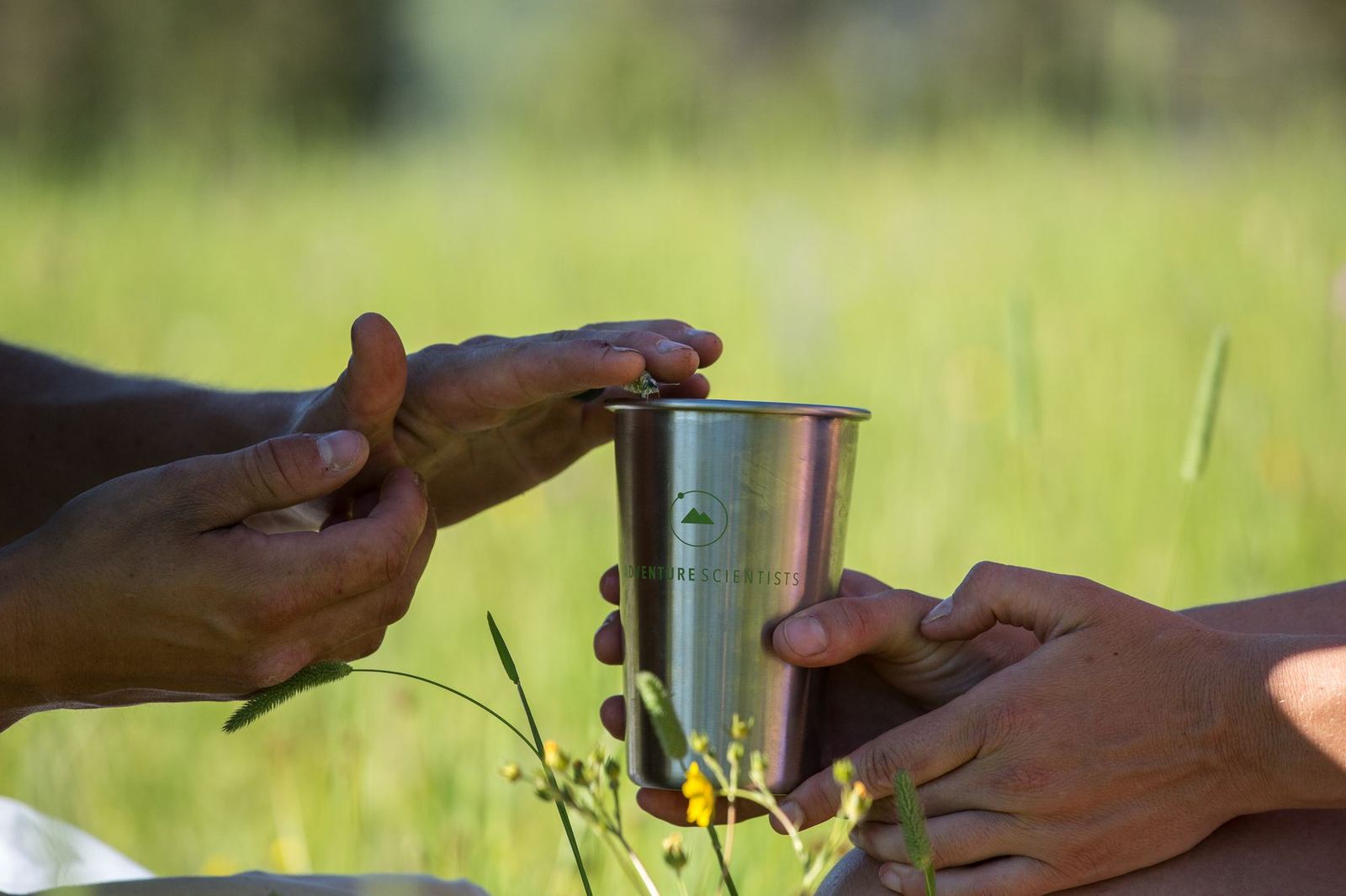 Hands drop soil into an Adventure Scientists steel cup.