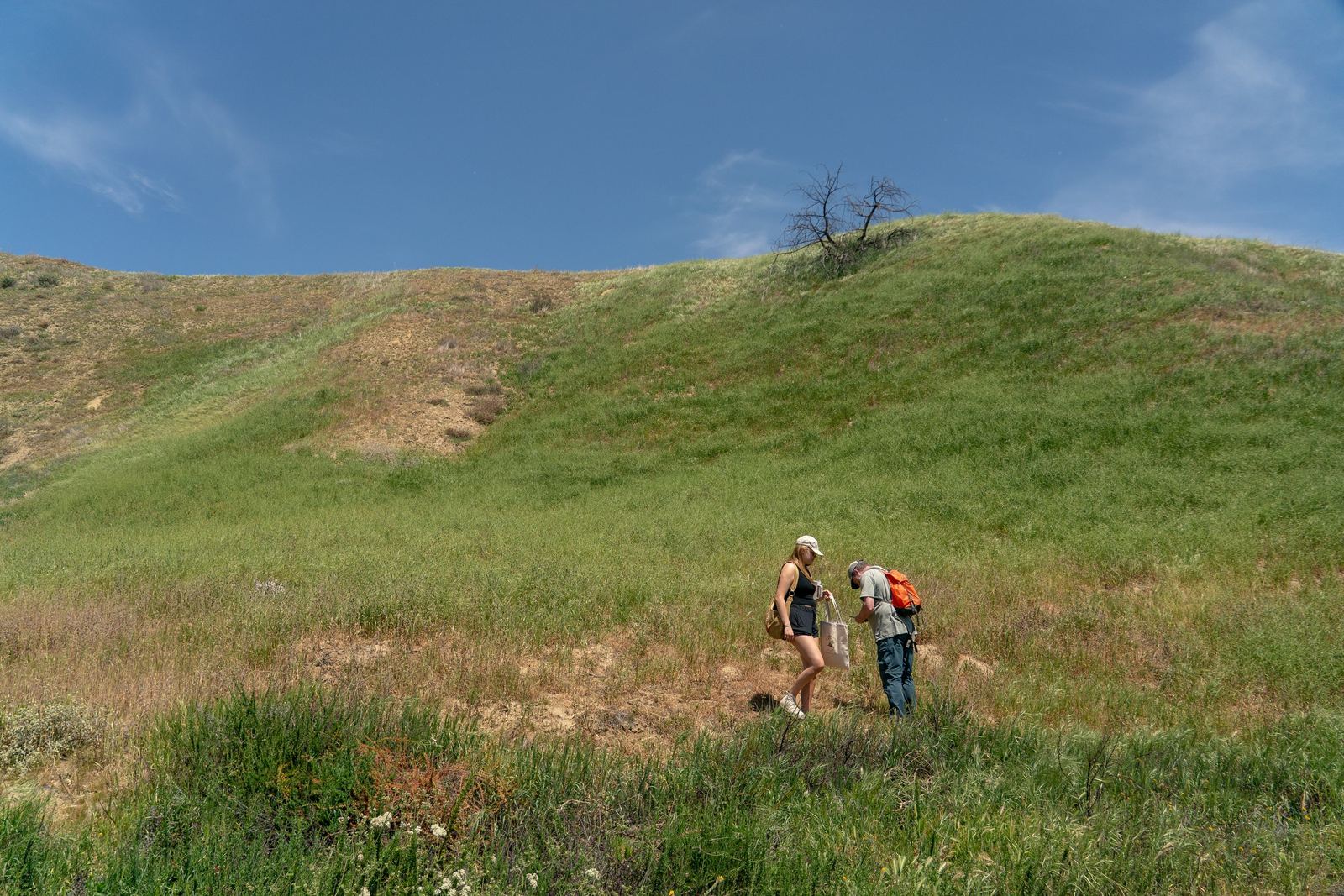 Two volunteers check a sample bag on a green hillside.
